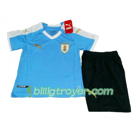 Billige Fotballdrakter Uruguay Barn Hjemmedraktsett Copa América 2019 Kortermet